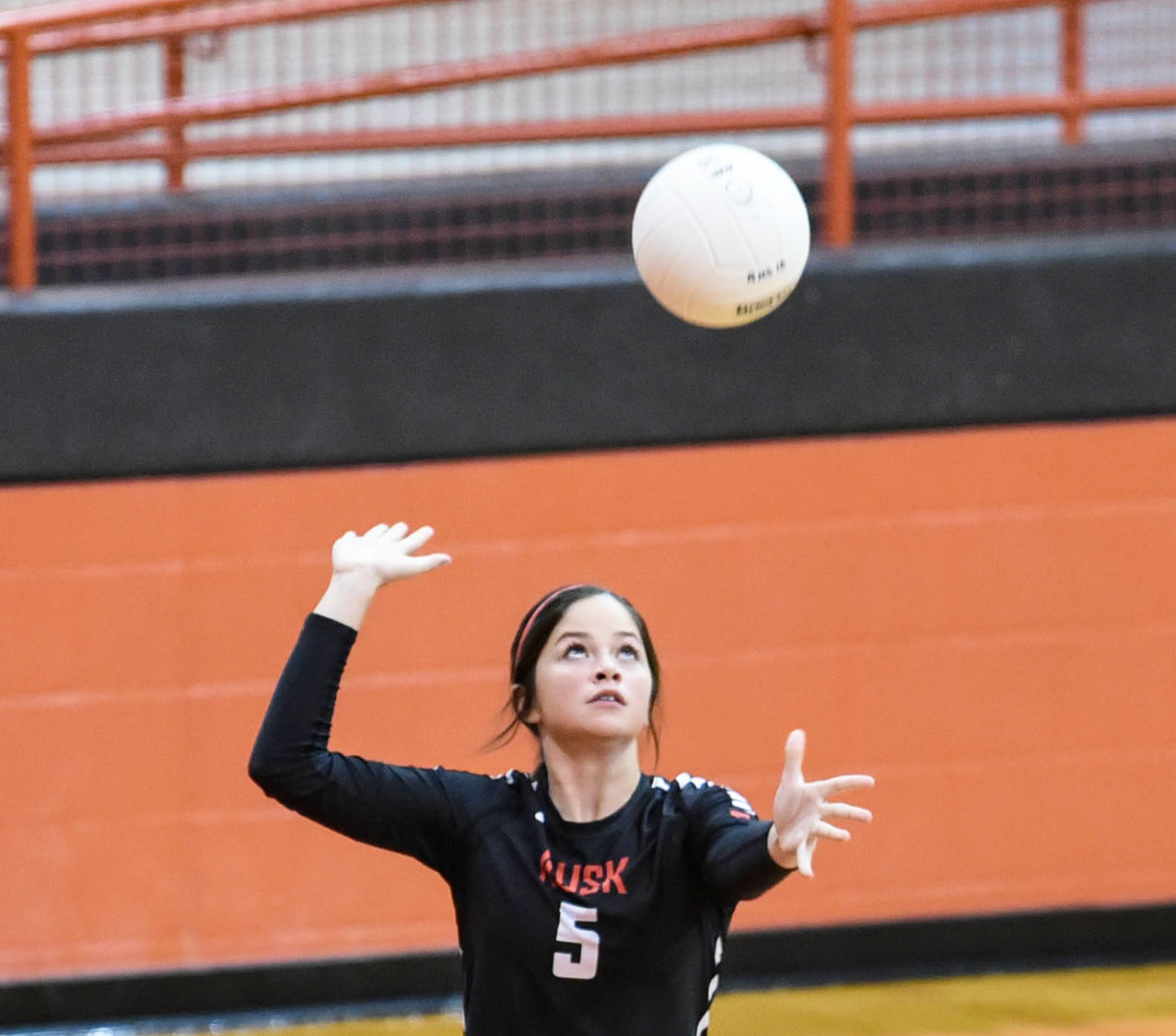 Area volleyball roundup